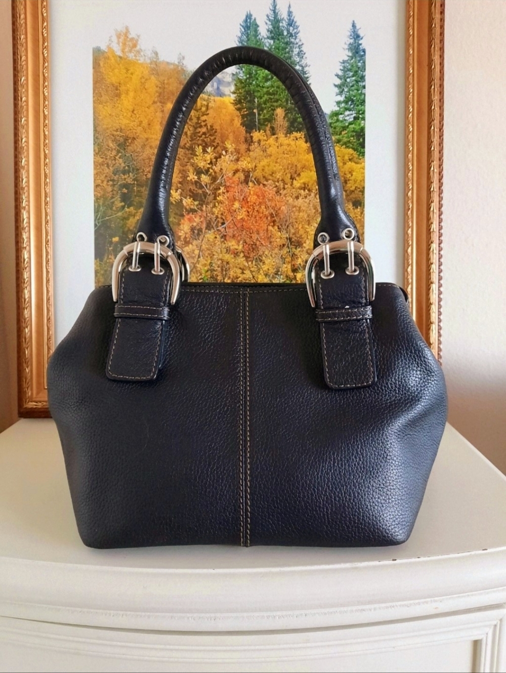 Black Genuine Leather Vintage handbag